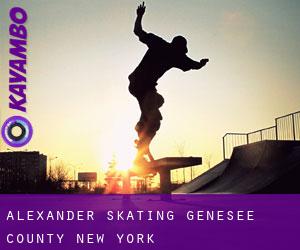 Alexander skating (Genesee County, New York)