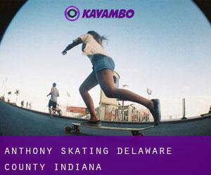 Anthony skating (Delaware County, Indiana)