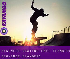 Assenede skating (East Flanders Province, Flanders)