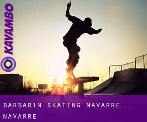 Barbarin skating (Navarre, Navarre)