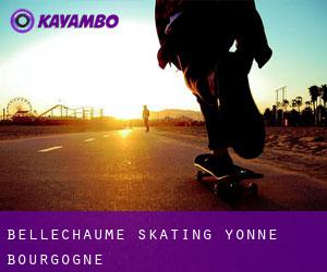 Bellechaume skating (Yonne, Bourgogne)