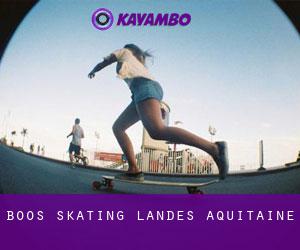 Boos skating (Landes, Aquitaine)