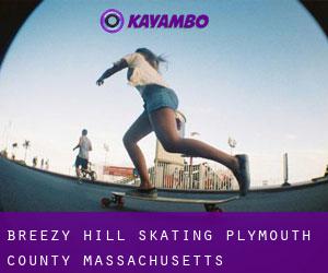 Breezy Hill skating (Plymouth County, Massachusetts)