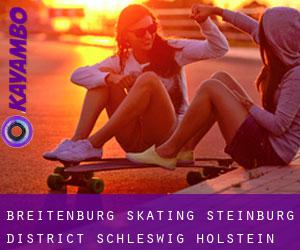 Breitenburg skating (Steinburg District, Schleswig-Holstein)