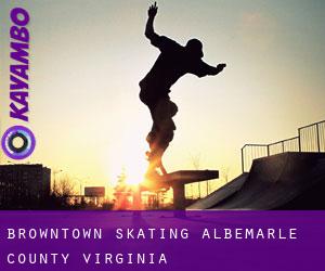 Browntown skating (Albemarle County, Virginia)