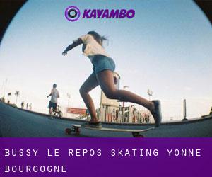 Bussy-le-Repos skating (Yonne, Bourgogne)