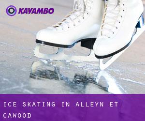 Ice Skating in Alleyn-et-Cawood