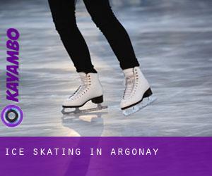 Ice Skating in Argonay