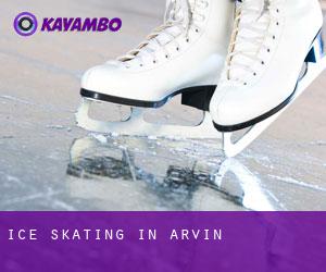 Ice Skating in Arvin