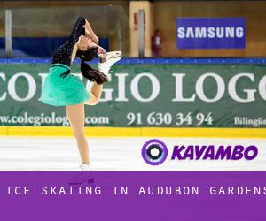 Ice Skating in Audubon Gardens