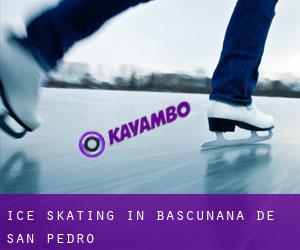 Ice Skating in Bascuñana de San Pedro