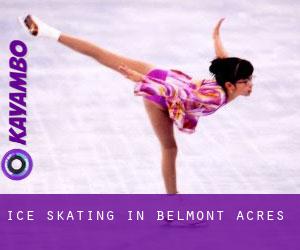 Ice Skating in Belmont Acres