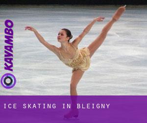 Ice Skating in Bleigny