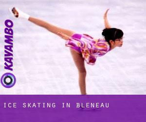 Ice Skating in Bléneau