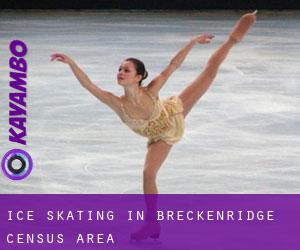 Ice Skating in Breckenridge (census area)