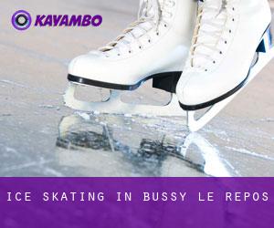 Ice Skating in Bussy-le-Repos