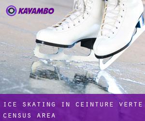 Ice Skating in Ceinture-Verte (census area)