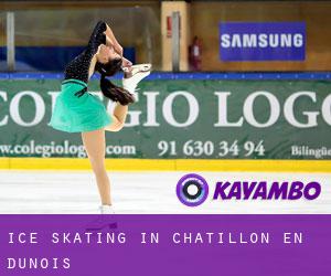 Ice Skating in Châtillon-en-Dunois