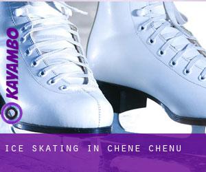 Ice Skating in Chêne-Chenu