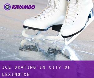 Ice Skating in City of Lexington