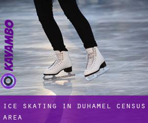 Ice Skating in Duhamel (census area)