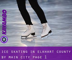 Ice Skating in Elkhart County by main city - page 1