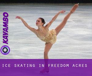 Ice Skating in Freedom Acres