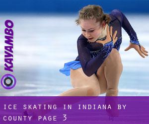 Ice Skating in Indiana by County - page 3