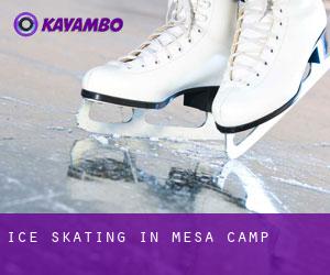 Ice Skating in Mesa Camp