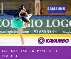 Ice Skating in Pineda de Gigüela