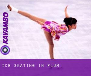 Ice Skating in Plum