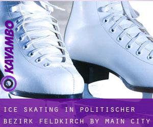 Ice Skating in Politischer Bezirk Feldkirch by main city - page 1