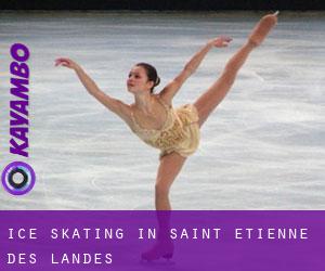 Ice Skating in Saint-Étienne-des-Landes