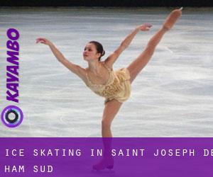 Ice Skating in Saint-Joseph-de-Ham-Sud