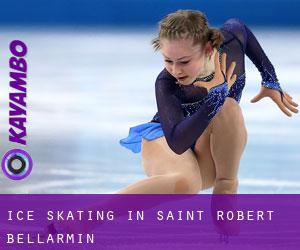 Ice Skating in Saint-Robert-Bellarmin