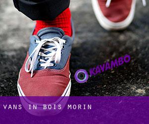 Vans in Bois Morin