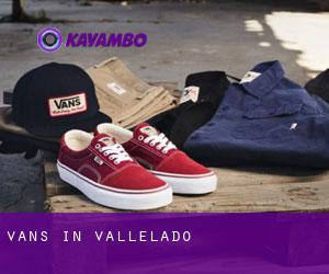 Vans in Vallelado