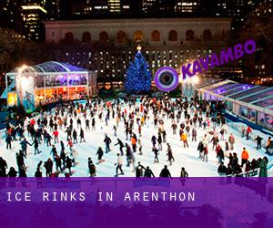 Ice Rinks in Arenthon