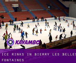 Ice Rinks in Bierry-les-Belles-Fontaines