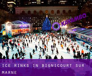 Ice Rinks in Bignicourt-sur-Marne