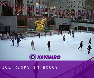 Ice Rinks in Boggy