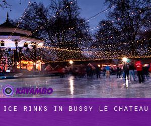 Ice Rinks in Bussy-le-Château