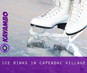 Ice Rinks in Capendac-Village