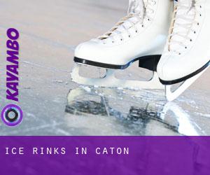 Ice Rinks in Caton