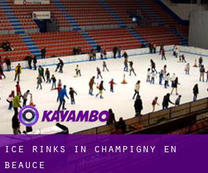 Ice Rinks in Champigny-en-Beauce
