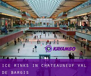 Ice Rinks in Châteauneuf-Val-de-Bargis