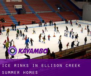 Ice Rinks in Ellison Creek Summer Homes