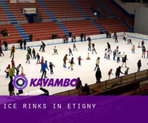 Ice Rinks in Étigny