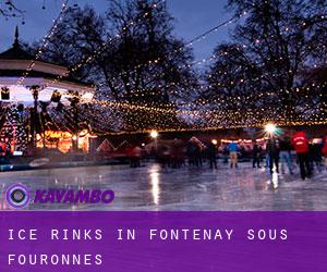 Ice Rinks in Fontenay-sous-Fouronnes