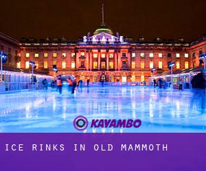 Ice Rinks in Old Mammoth